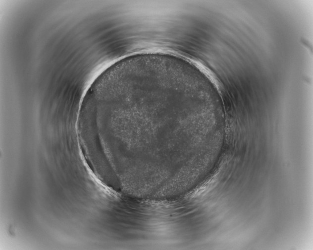 X0000094960951200712271716