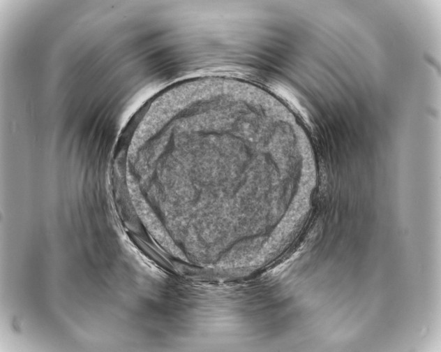 X0000094960952200712271716