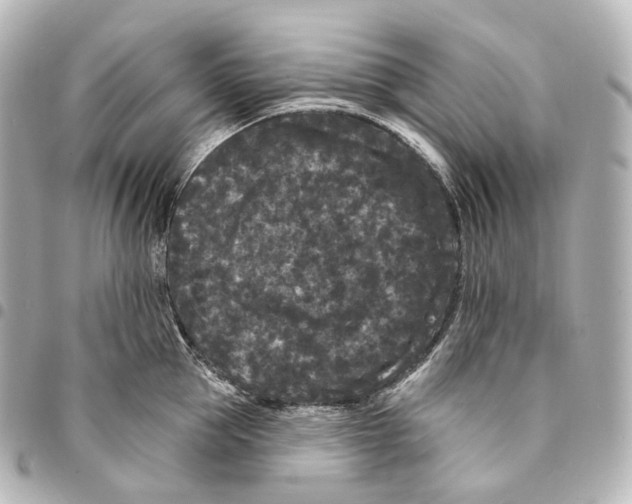 X0000094960953200712271716