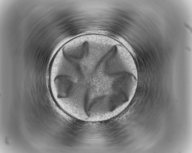 X0000094960955200712271717