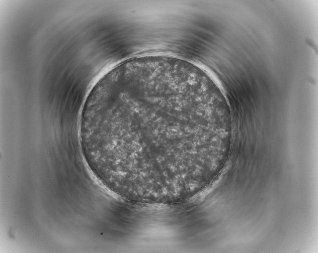 X0000094960957200712271717