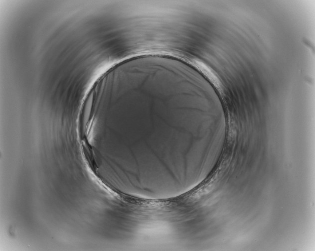 X0000094960958200712271717