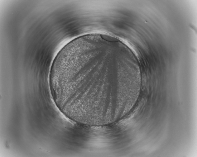 X0000094960959200712271717