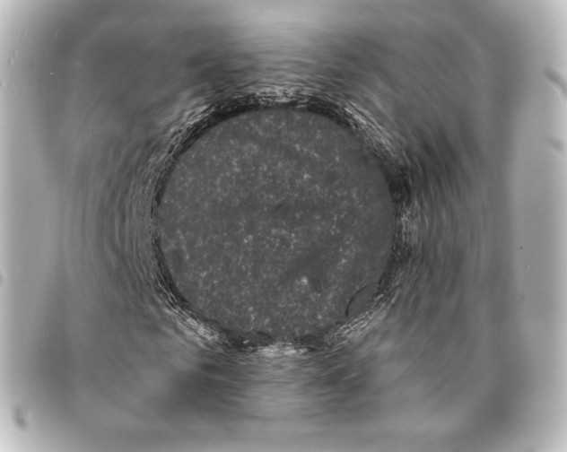 X0000094960961200712271716