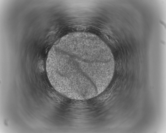 X0000094960962200712271716