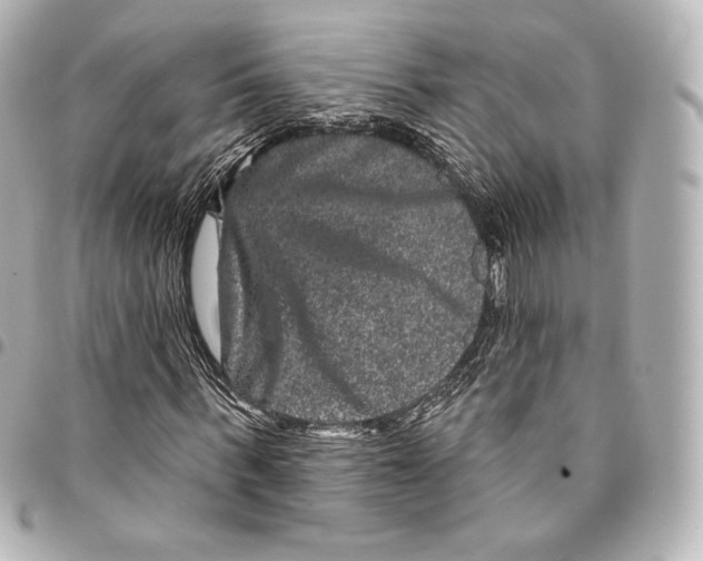 X0000094960963200712271716