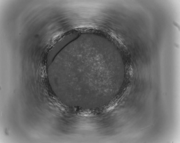 X0000094960965200712271716