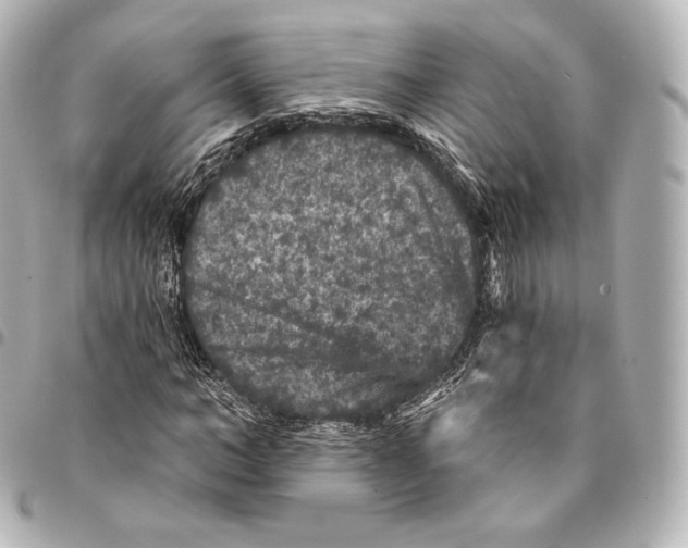 X0000094960966200712271716