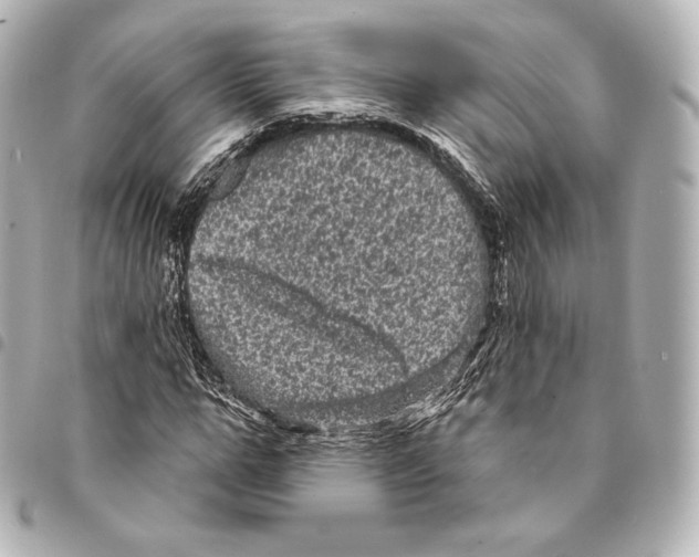 X0000094960967200712271716