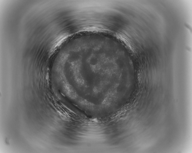 X0000094960968200712271716