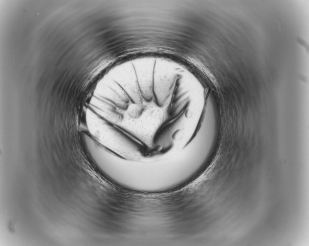 X0000094960969200712271716