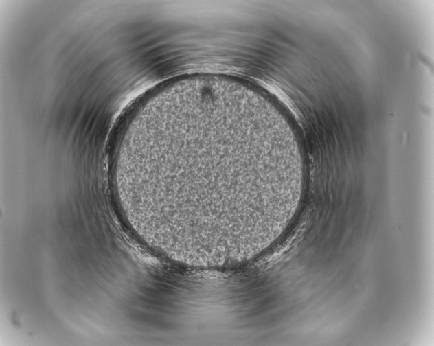 X0000094960971200712271716