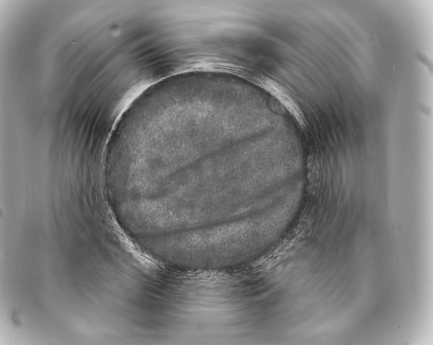 X0000094960972200712271716