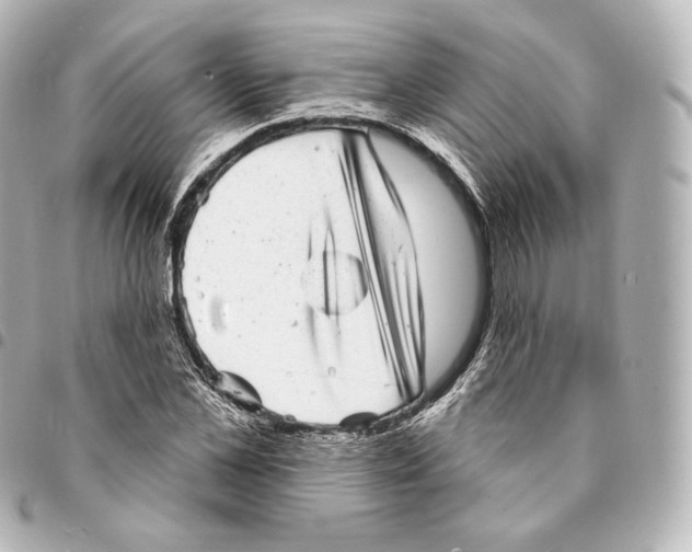 X0000094960973200712271716