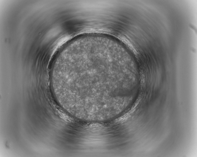 X0000094960974200712271716