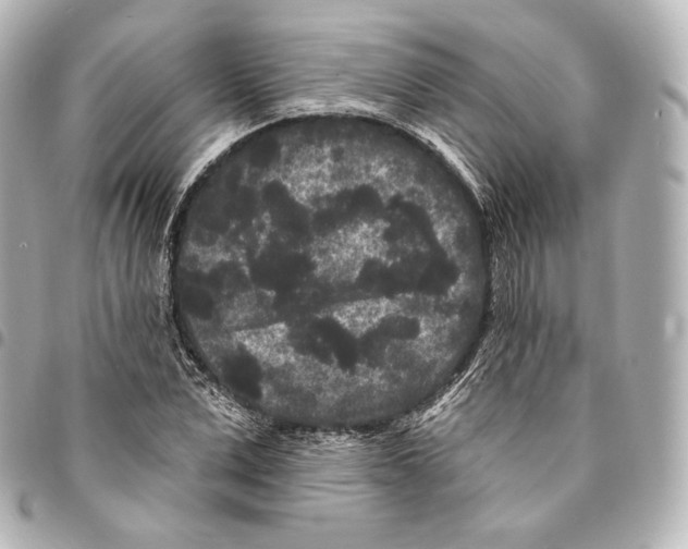 X0000094960975200712271716