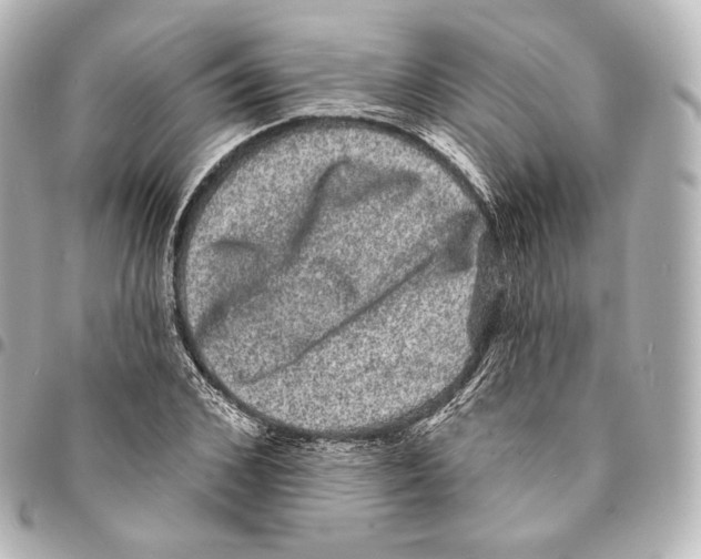 X0000094960976200712271716