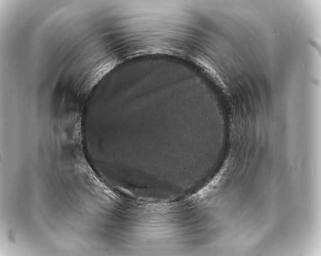X0000094960977200712271716