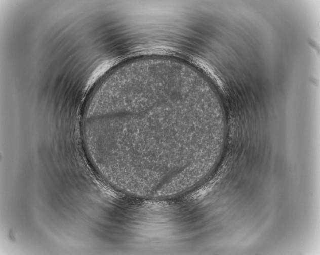 X0000094960978200712271716