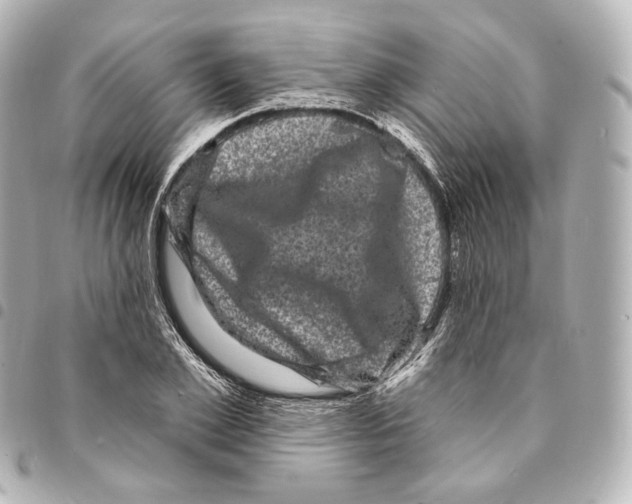 X0000094960981200712271716