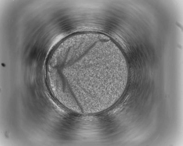 X0000094960982200712271716