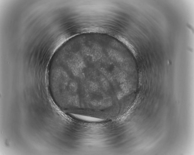 X0000094960983200712271716