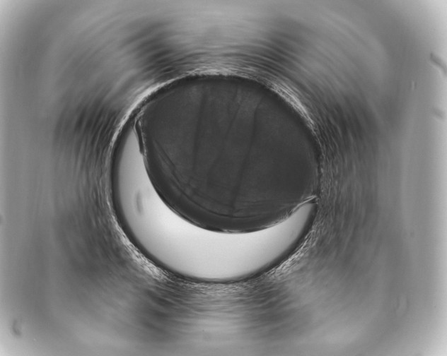 X0000094960984200712271716