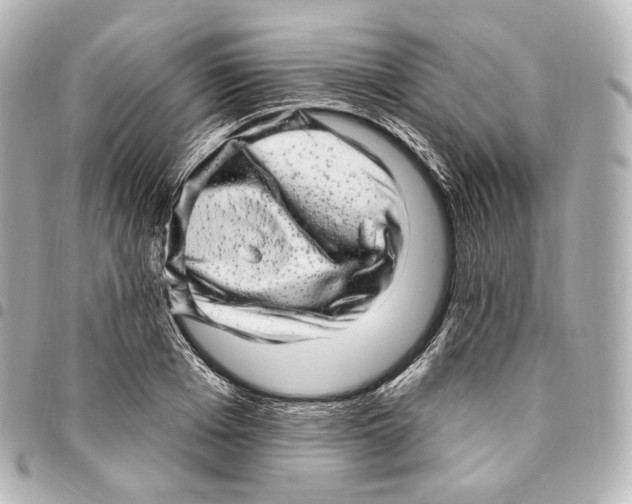 X0000094960985200712271716