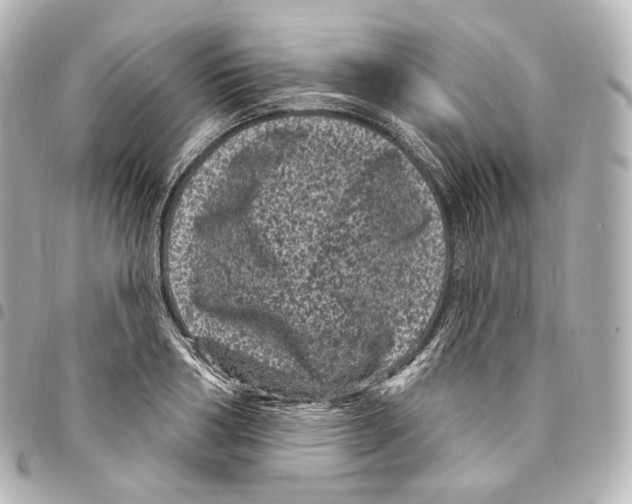 X0000094960986200712271716