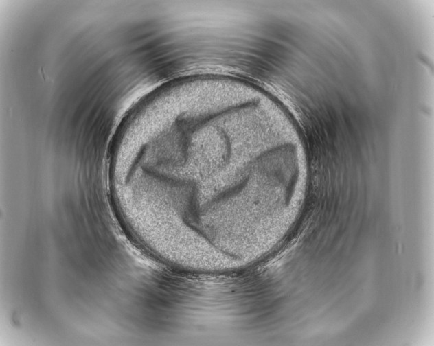 X0000094960987200712271716