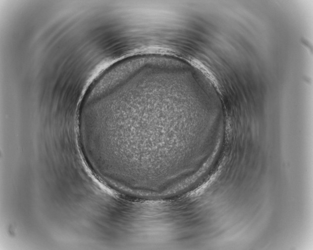 X0000094960989200712271716