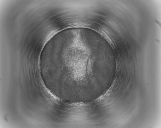 X0000094960990200712271716