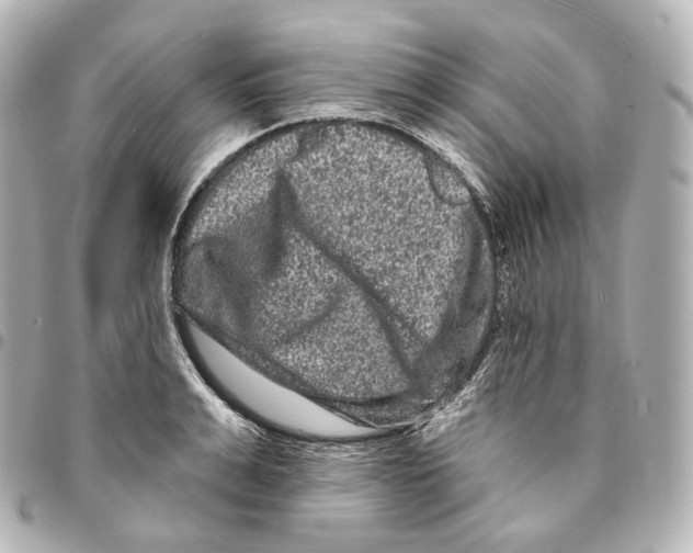 X0000094960991200712271716