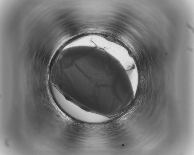 X0000094960992200712271716