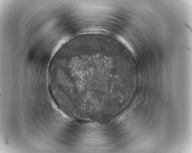X0000094960994200712271715