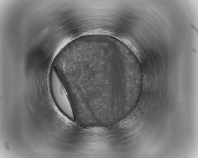 X0000094960998200712271715