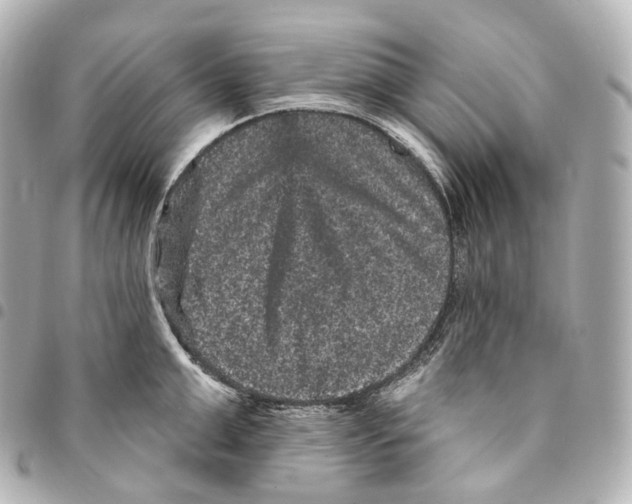 X0000094960999200712271715