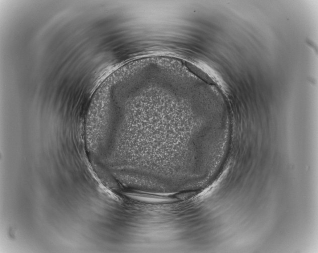 X0000094961001200712271715