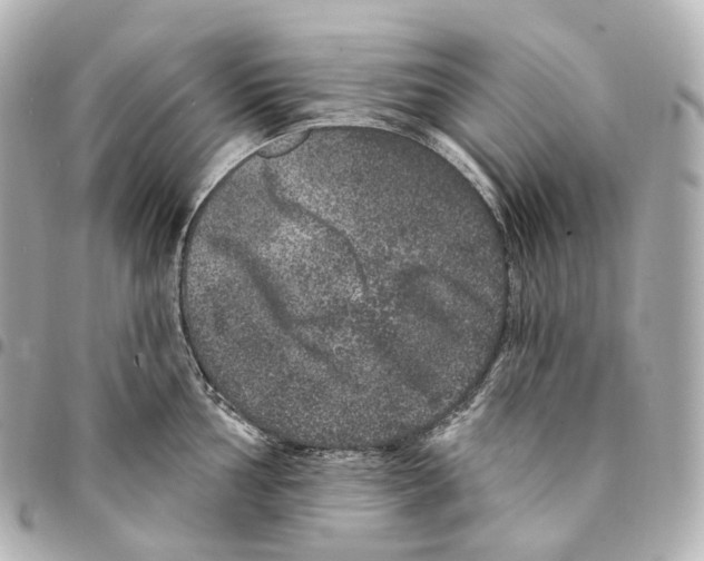 X0000094961002200712271715
