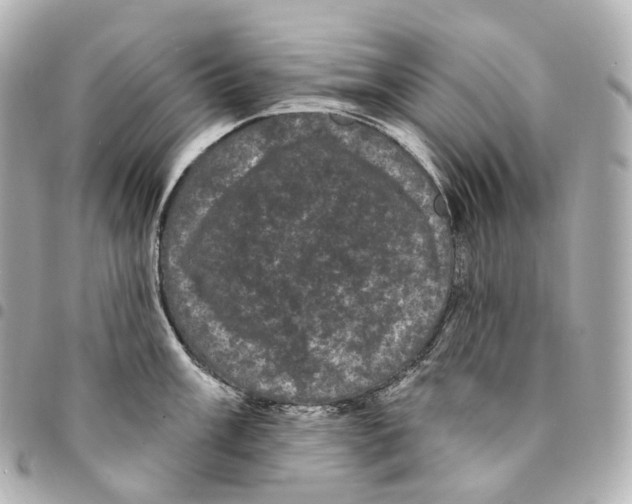 X0000094961003200712271715