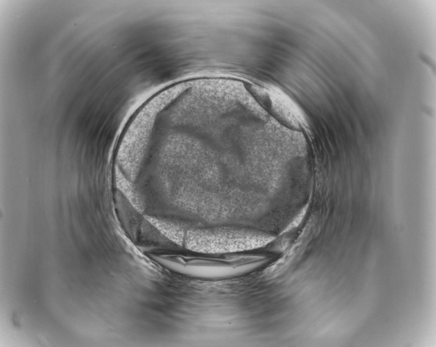 X0000094961004200712271715