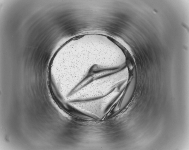 X0000094961005200712271715