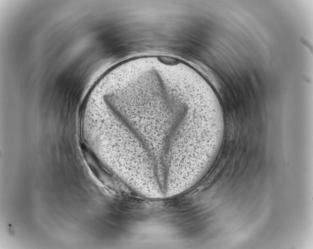 X0000094961006200712271715