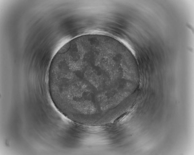 X0000094961007200712271715