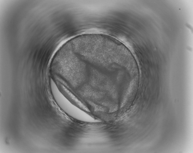 X0000094961008200712271715
