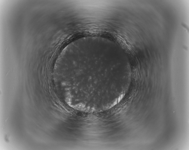 X0000094961009200712271715