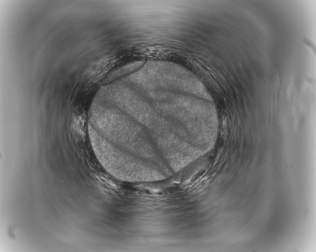X0000094961010200712271715