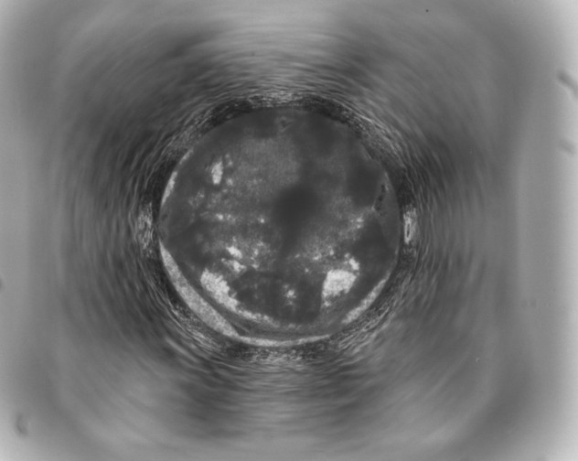 X0000094961011200712271715