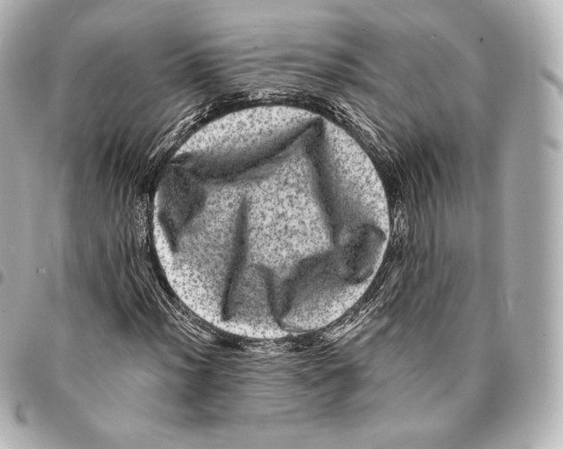 X0000094961012200712271715