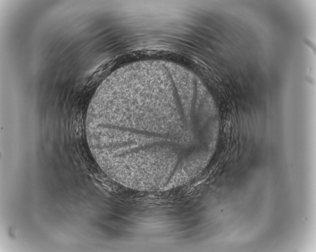 X0000094961014200712271715